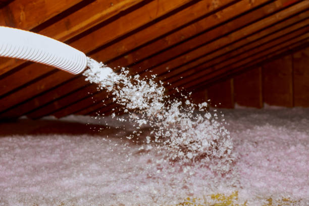 Best Insulation Materials and Products in Big Stone Gap, VA