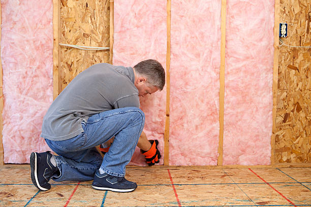 Best Insulation Maintenance and Repair in Big Stone Gap, VA